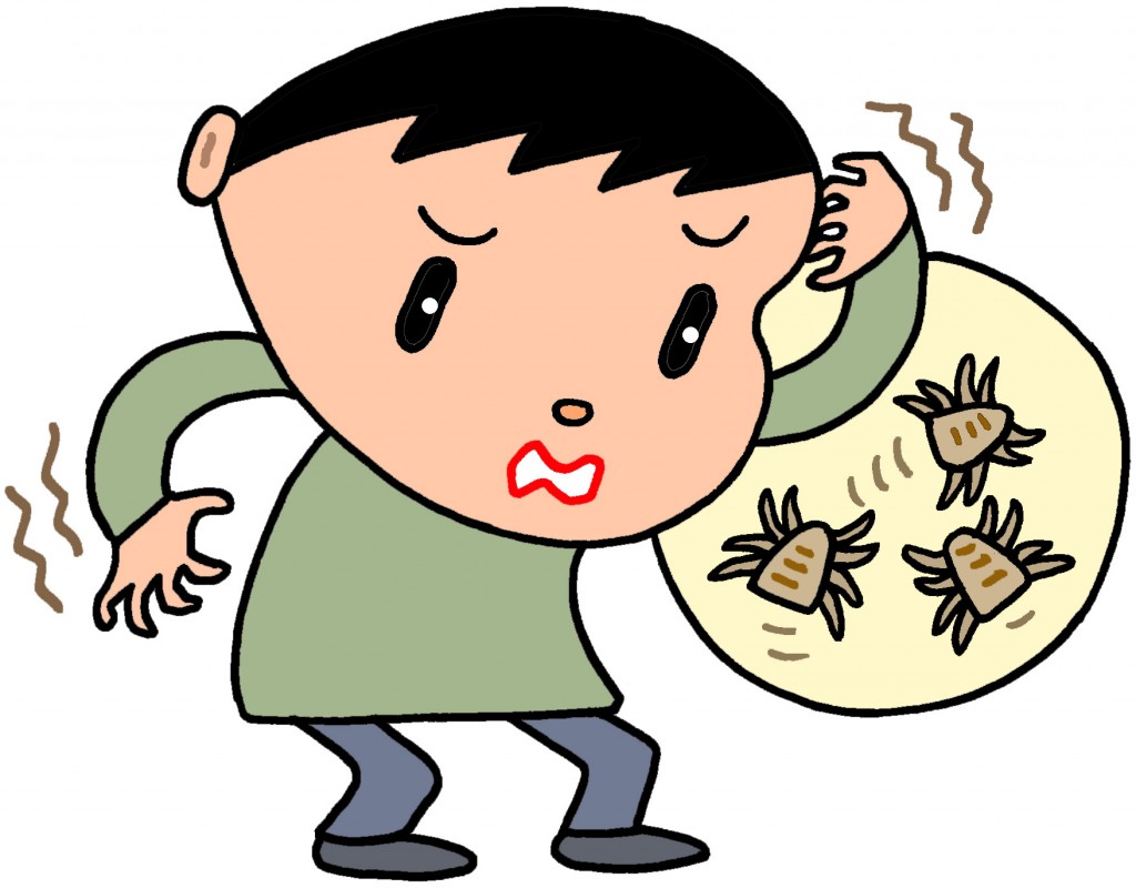 840ソファー かゆい 排除する