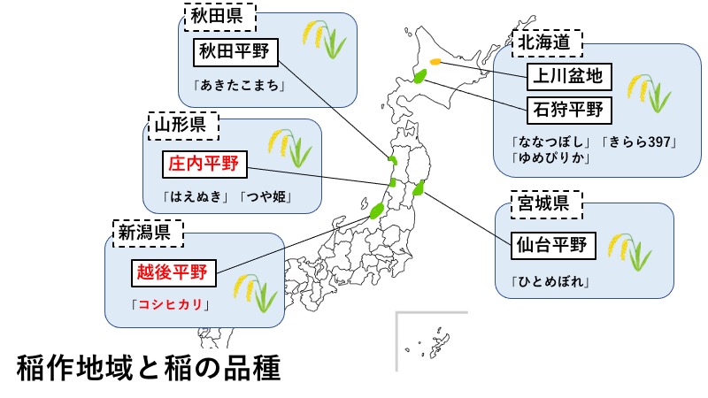 稲作地域と稲の品種