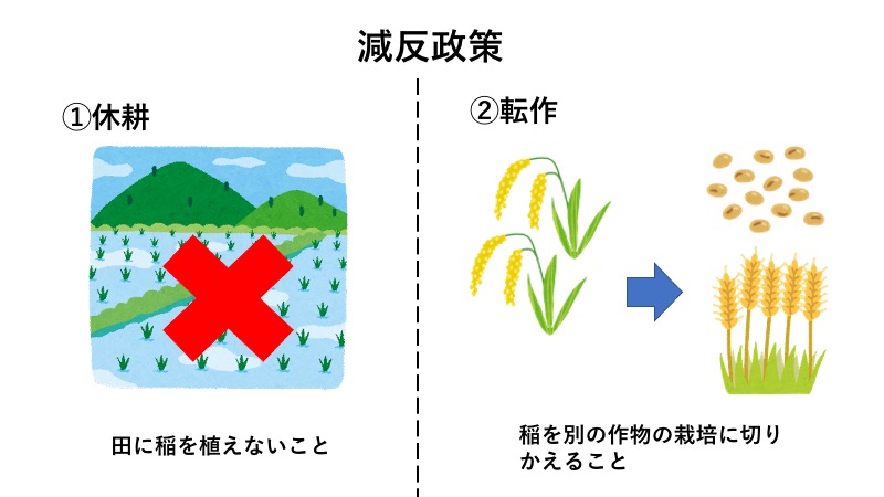 減反政策