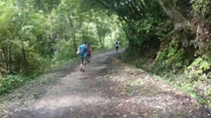 ikomayama trail2