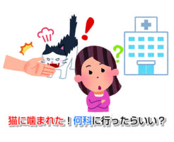 噛まれた の記事一覧 噛まれた の記事一覧